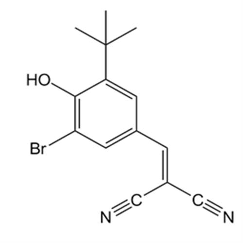 AG-1024.png AG-1024.png