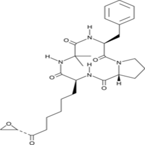 53342-16-8Chlamydocin