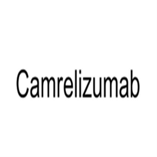 1798286-48-2Camrelizumab