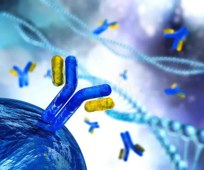 驼源免疫VHH抗体文库构建服务