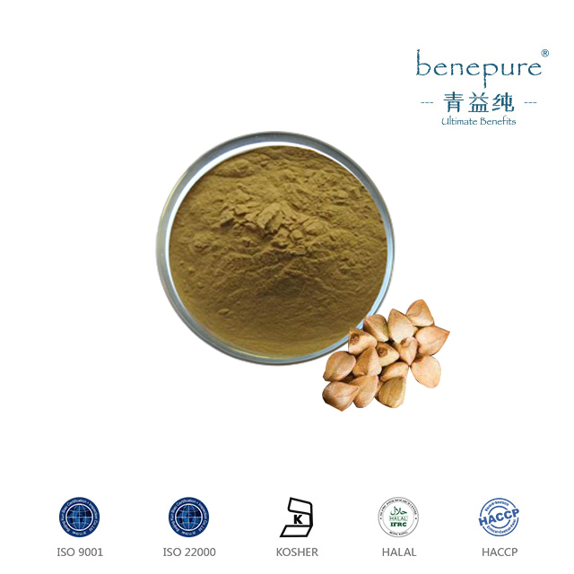 荞麦提取物源头生产厂家大量供应
