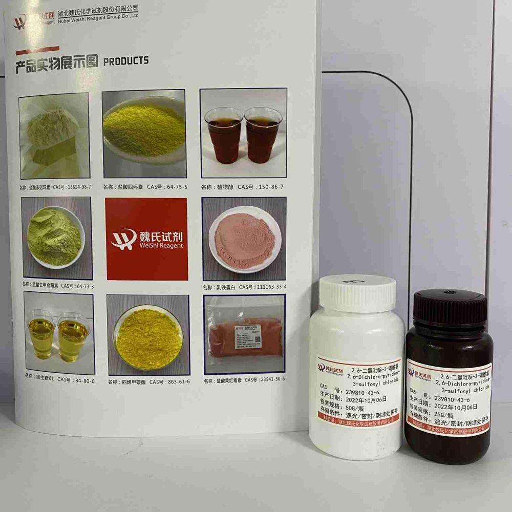 2,6-二氯吡啶-3-磺酰氯-239810-43-6
