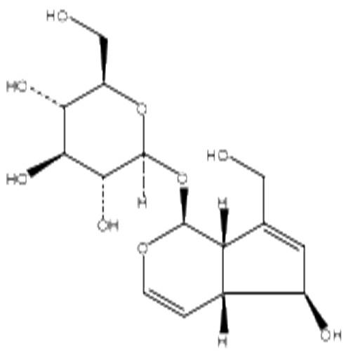 桃叶珊瑚苷.jpg 桃叶珊瑚苷.jpg