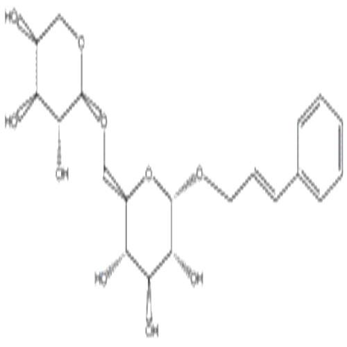 络塞维.jpg 络塞维.jpg