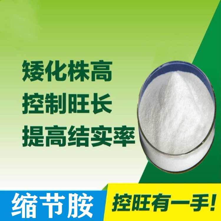 缩节胺原药生产厂家