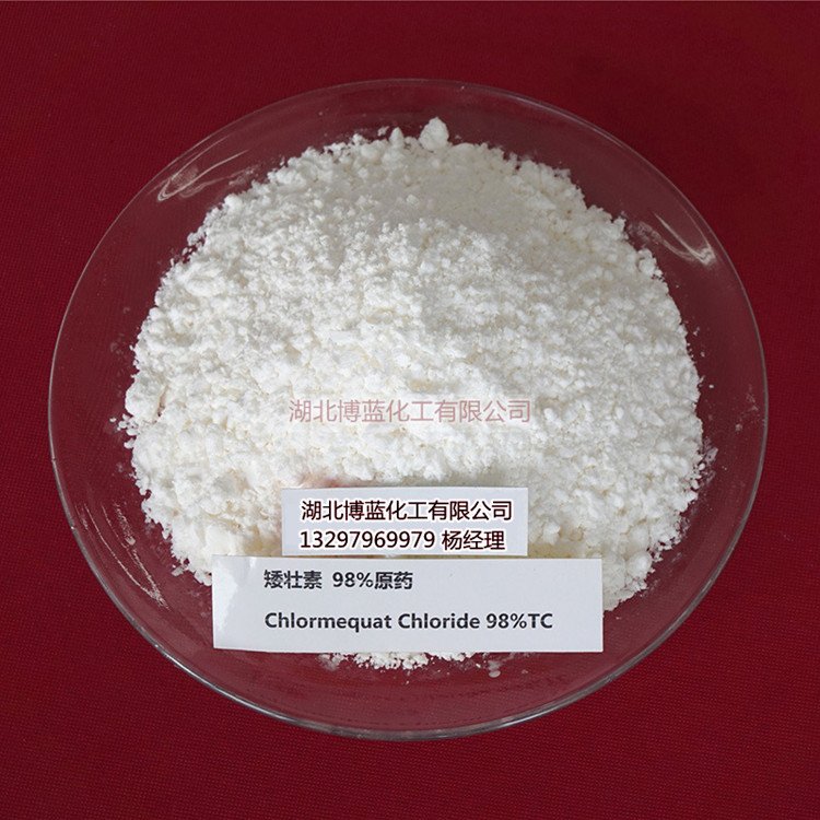 98%矮壮素原药生产厂家  