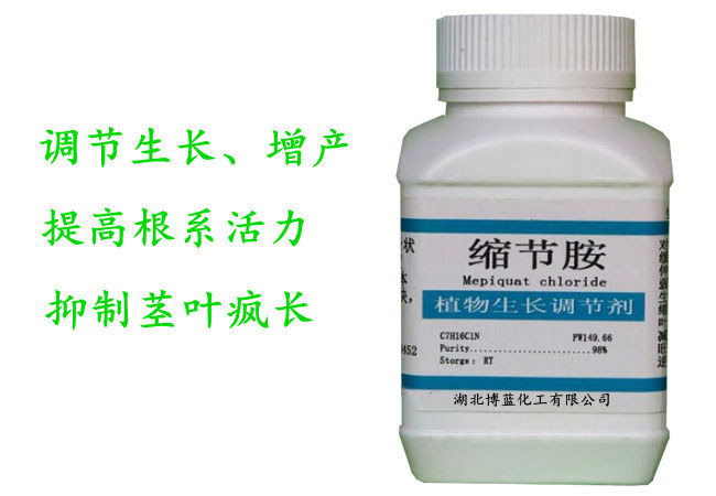 缩节胺原药生产厂家  矮化控旺调节剂