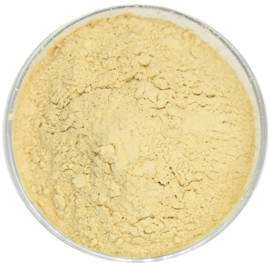 1955-46-0；5-硝基间苯二甲酸单甲酯