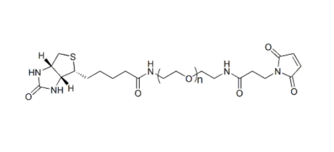Biotin-PEG-Mal α-生物素-ω-马来酰亚胺基聚乙二醇