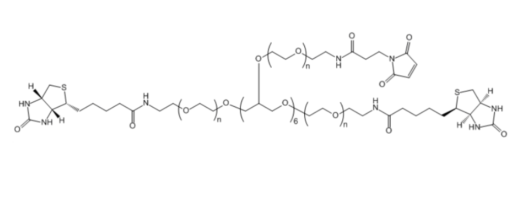 8-ArmPEG-(6Arm-Mal,2Arm-Biotin) 八臂聚乙二醇—马来酰亚胺-生物素