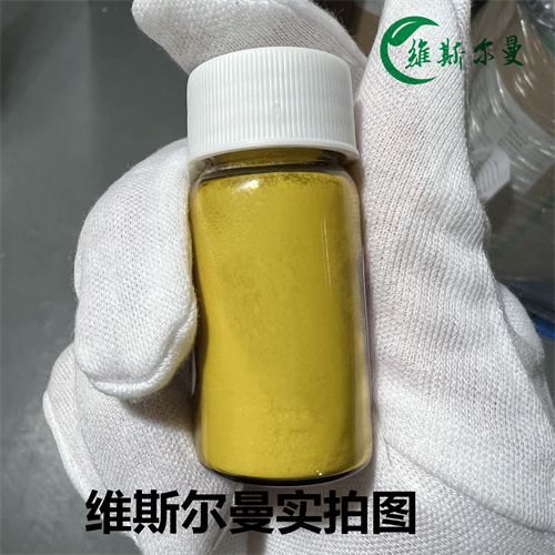 尼达尼布乙磺酸盐 