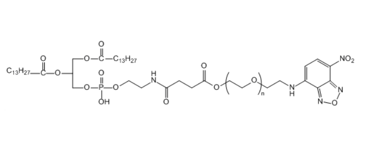 DMPE-PEG-NBD 1,2-十四酰基磷脂酰乙醇胺-聚乙二醇-硝基苯恶二唑