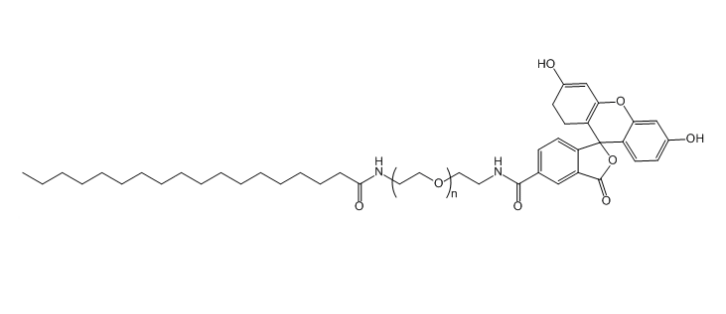 STA-PEG-FITC 单硬脂酸-聚乙二醇-荧光素