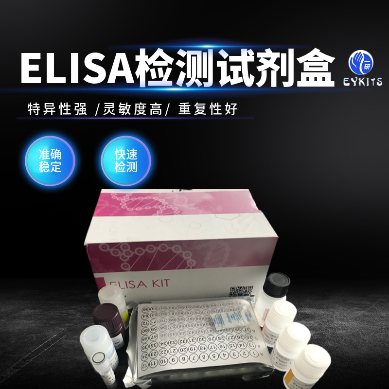 BMP-2 Elisa Kit