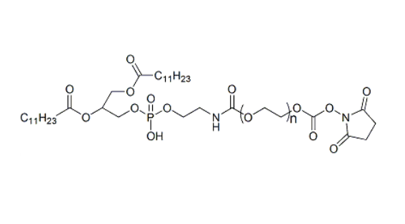 DLPE-PEG-SC 1,2-二月桂酰磷脂酰乙醇胺-聚乙二醇-活性酯