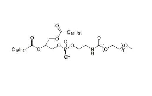 mPEG-DPPE 205494-72-0 甲氧基聚乙二醇-二棕榈酰磷酯酰乙醇胺