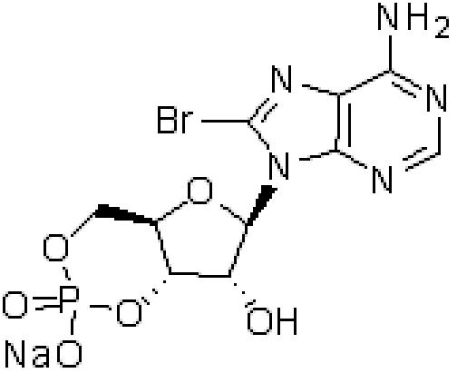 8-溴腺苷-3',5'-环单磷酸单钠盐