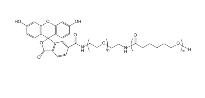 FITC-PEG-PCL 荧光素-聚乙二醇-聚己内酯