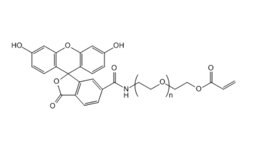 FITC-PEG-AC 荧光素-聚乙二醇-丙烯酸酯