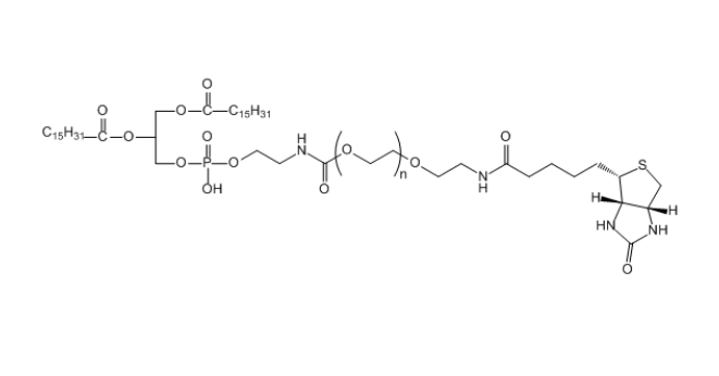 BIOTIN-PEG-DPPE 二棕榈酰磷酯酰乙醇胺-聚乙二醇-生物素