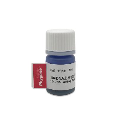 10×DNA上样缓冲液