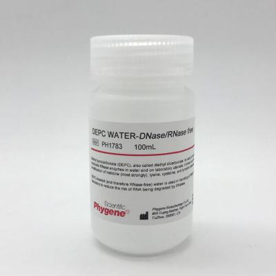 DEPC水