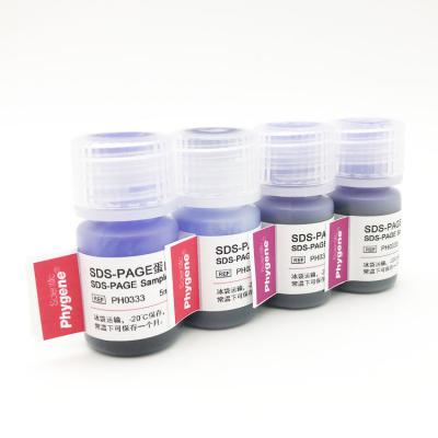 SDS-PAGE蛋白加样缓冲液