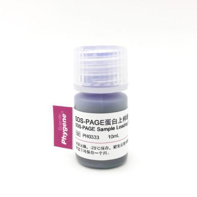SDS-PAGE蛋白加样缓冲液