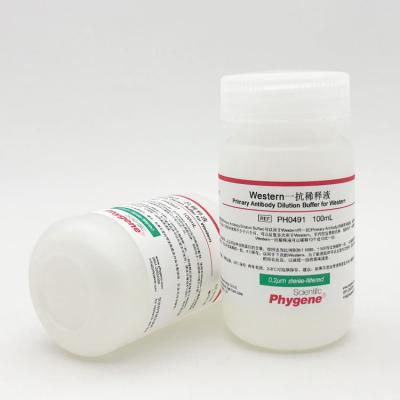 Western一抗稀释液