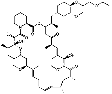 比奥利默斯