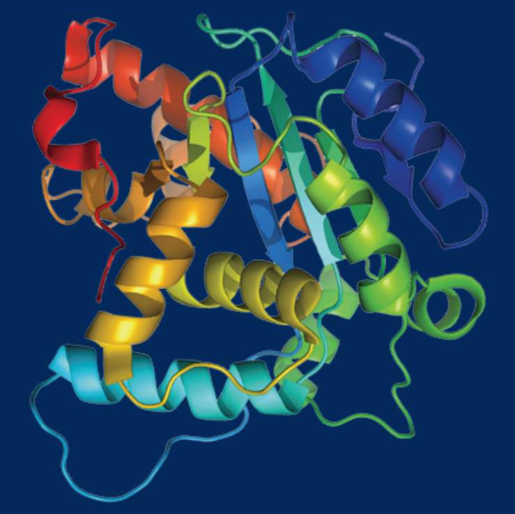 维百奥生物提供真核蛋白快速表达服务，冰点报价