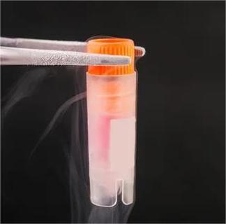 维百奥生物提供多种细胞类型过表达细胞株构建服务