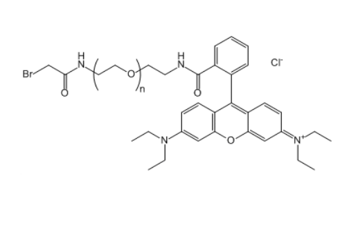 Br-CH2CO-NH-PEG-RB 溴乙酰胺-聚乙二醇-罗丹明B