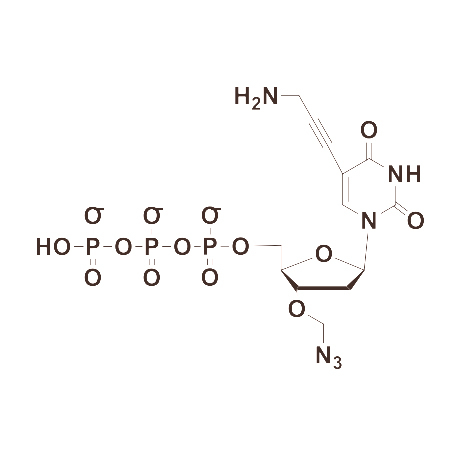 5-Propargylamino-3′-Azidomethyl-dUTP