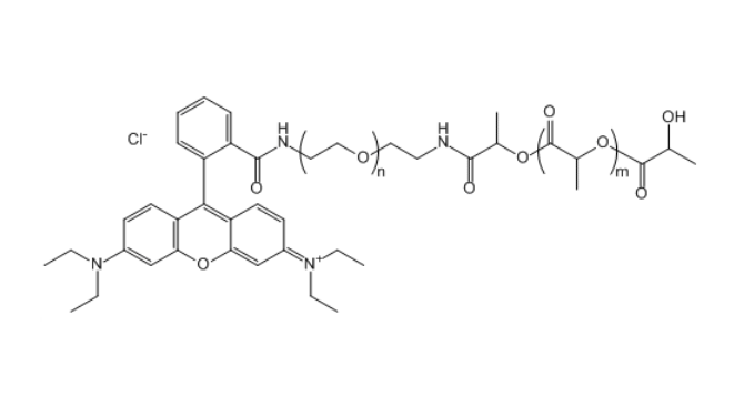 RB-PEG-PLA 罗丹明B-聚乙二醇-聚乳酸