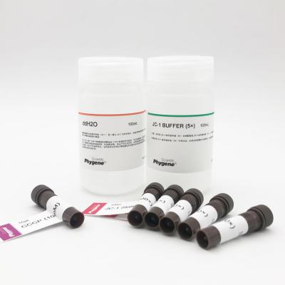 线粒体膜电位检测试剂盒(JC-1)