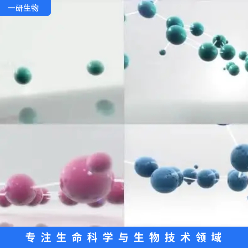 人二倍体细胞/人胚肺成纤维细胞