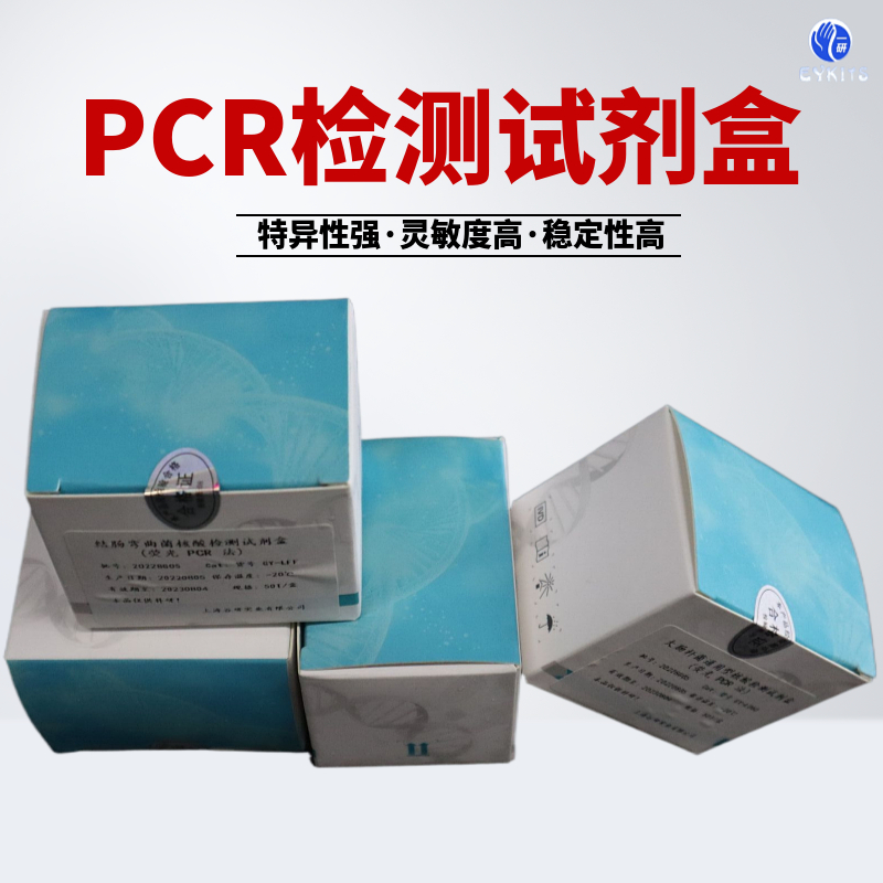 副猪嗜血杆菌PCR检测试剂盒