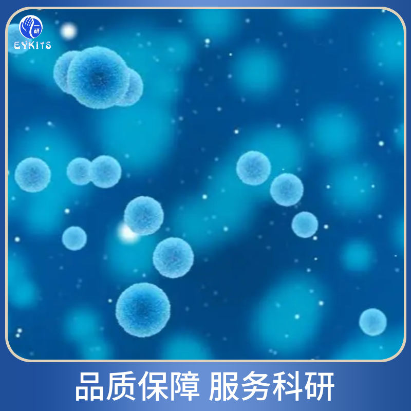 hct116/L人结肠癌耐奥沙利铂细胞株