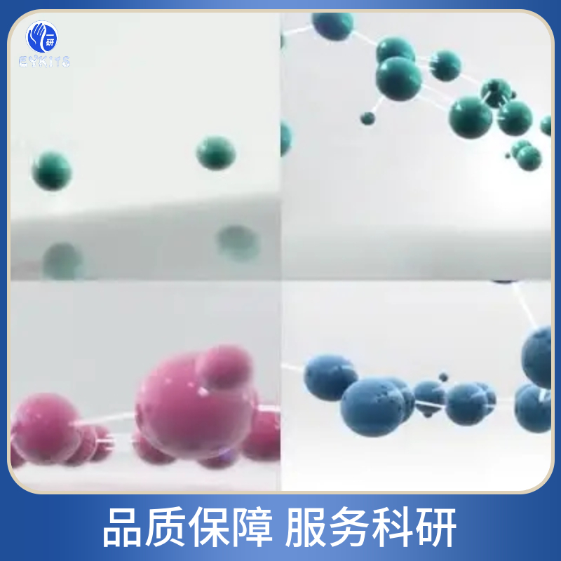 人胰腺导管腺癌细胞