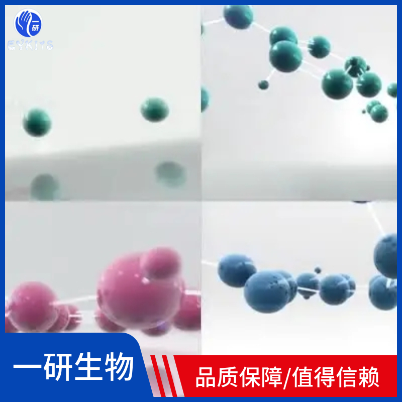 干细胞骨髓间充质干细胞骨髓间充质永生化永生化