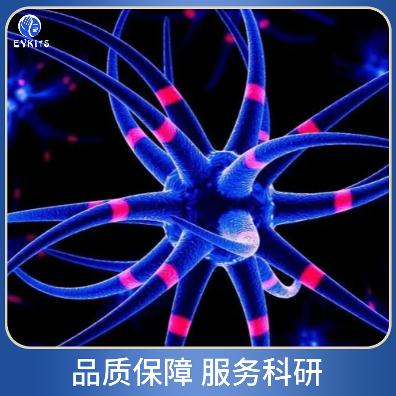 Hela-LUC荧光标记细胞株