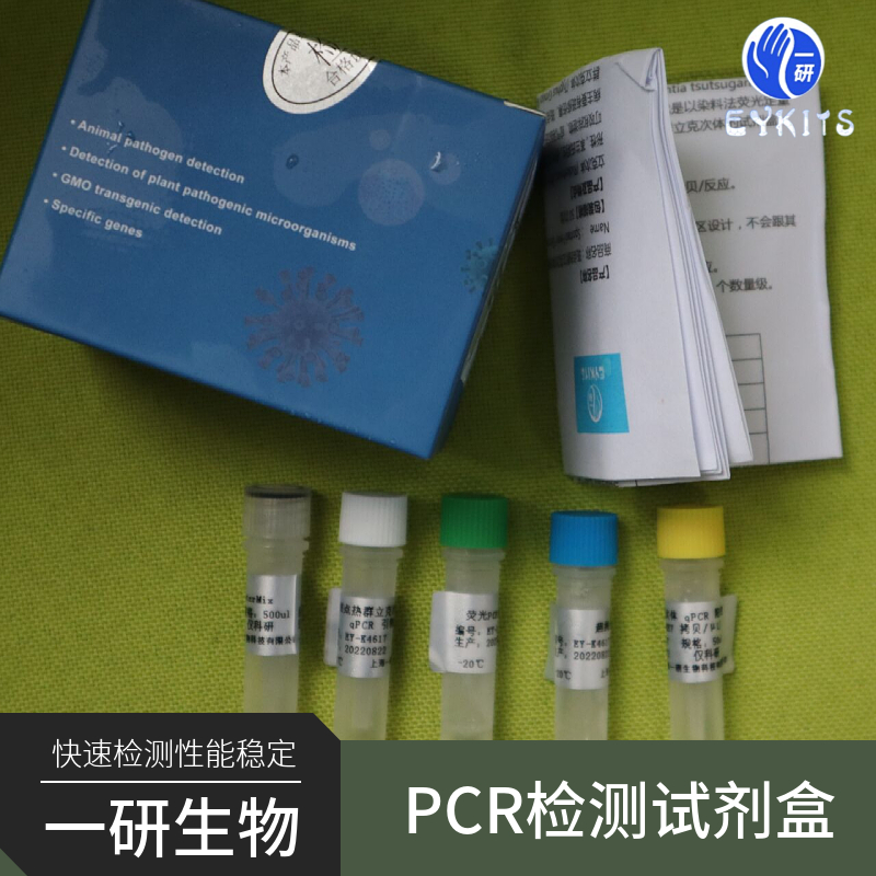 刺激隐核虫PCR检测试剂盒