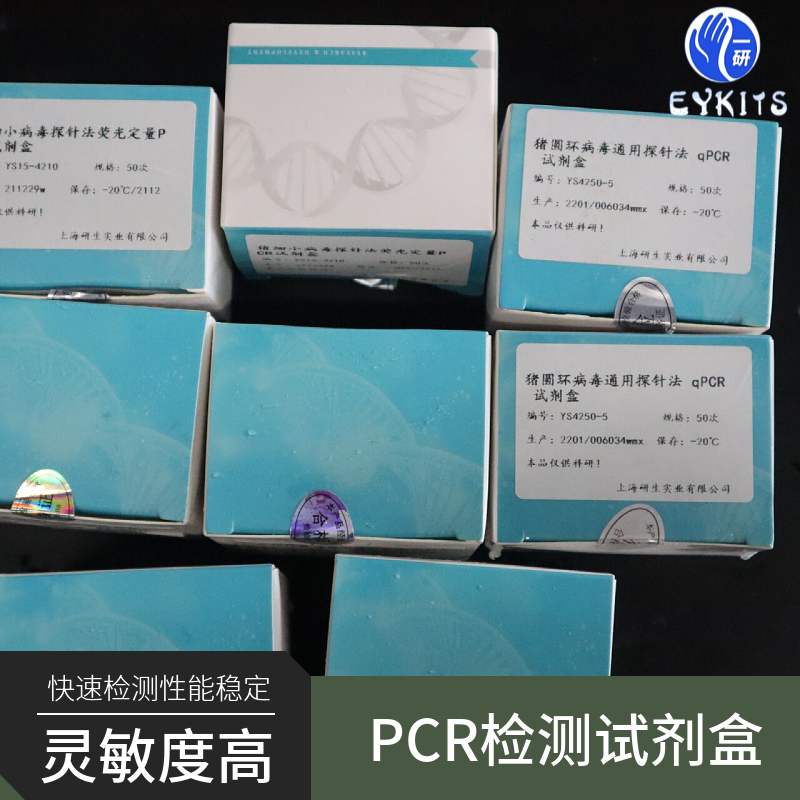 人免疫缺陷病毒型组前病毒PCR检测试剂盒