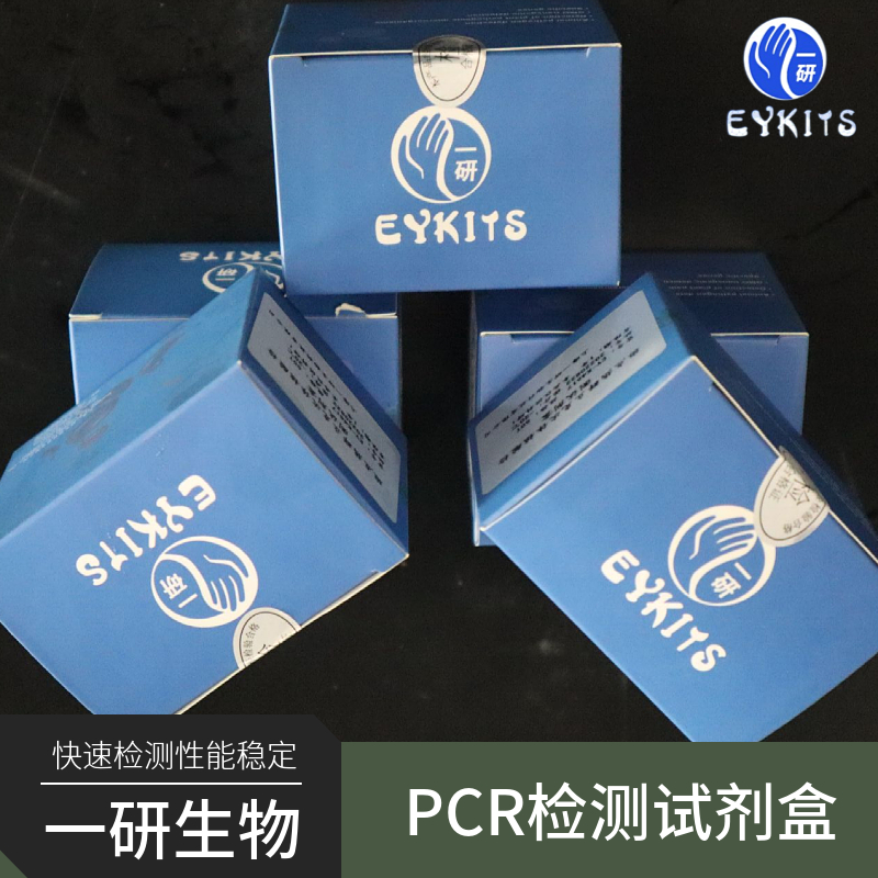 荚膜组织胞浆菌PCR检测试剂盒