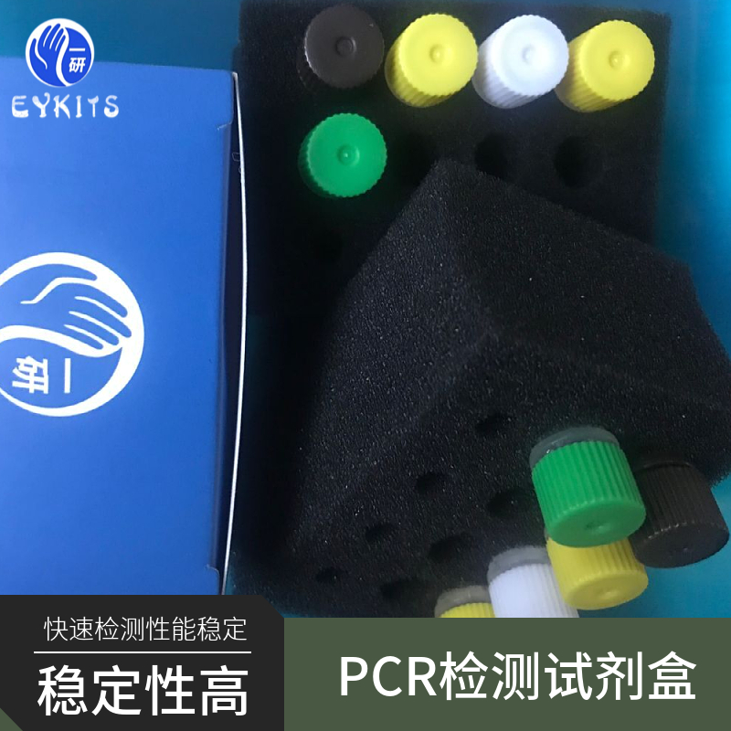 棒杆菌通用PCR检测试剂盒