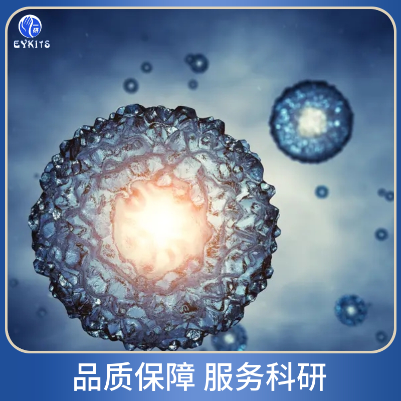 H2170-RFP荧光标记细胞株