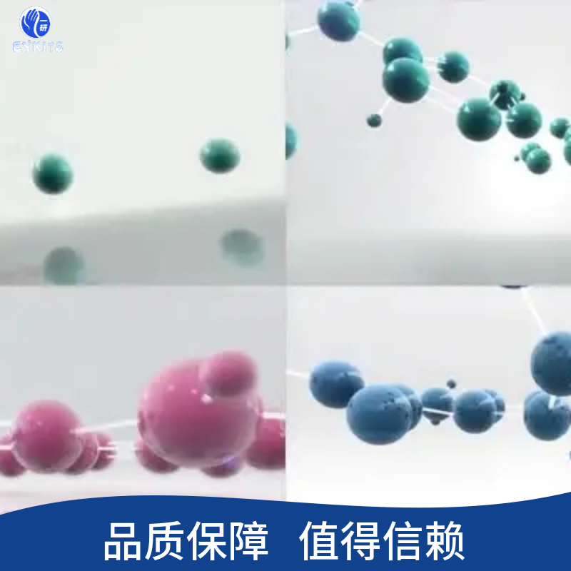 人大细胞肺癌顺铂耐药株