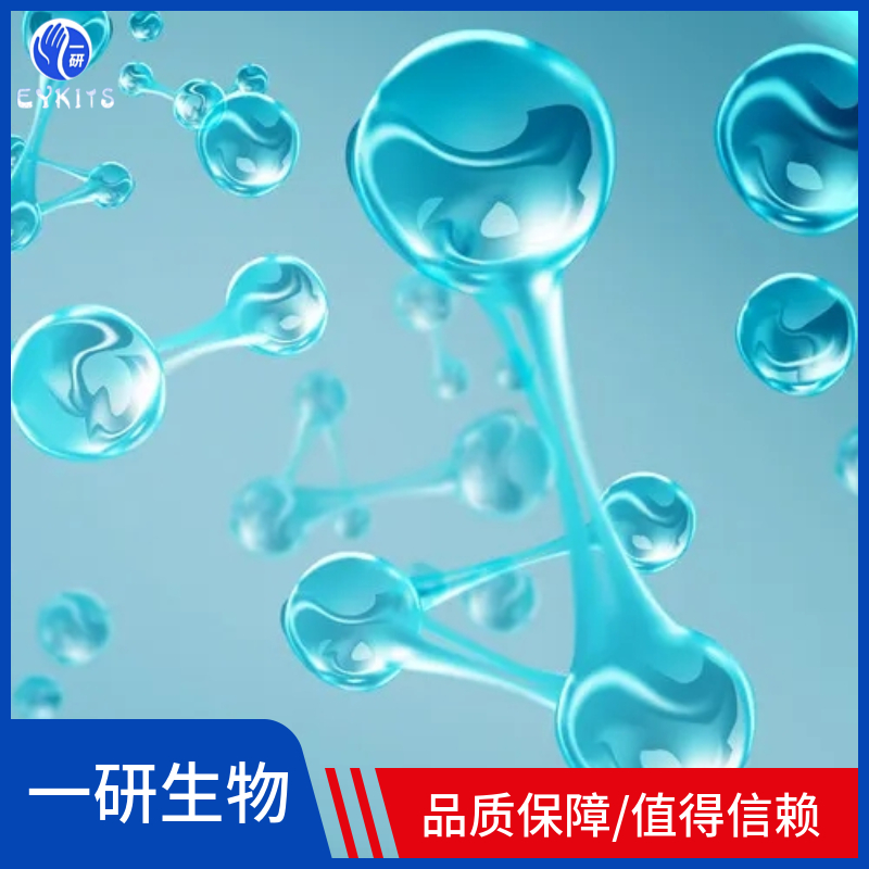 人肝胆管癌细胞