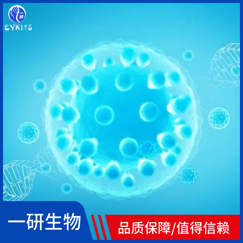 干细胞牙周膜型